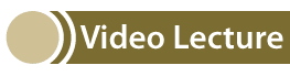 Link to video lecture