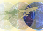 Global Trade Art