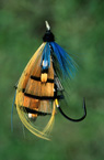Fishing Lure Clip Art