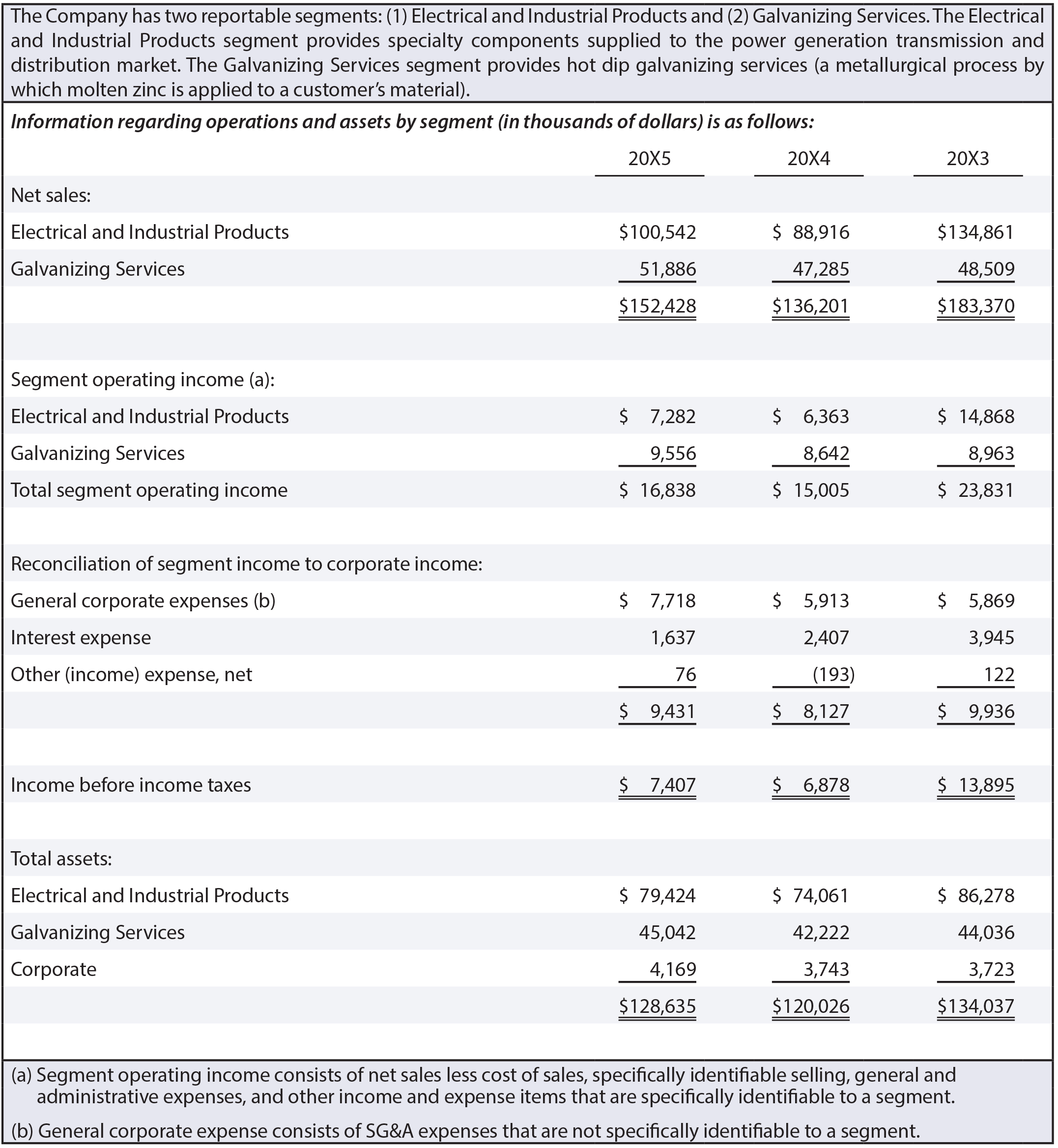 Segment Report Example