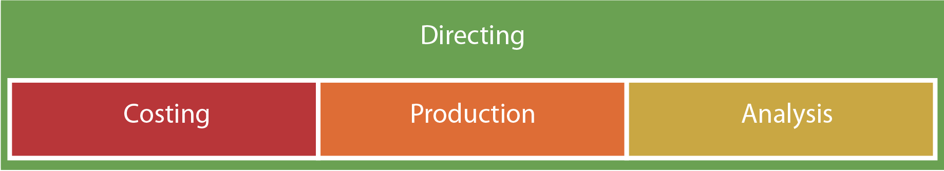 Managerial Accounting Functions - Directing Chart