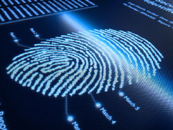 Fingerprint image
