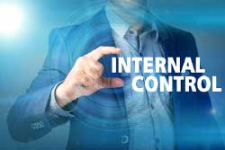 Internal Control Image